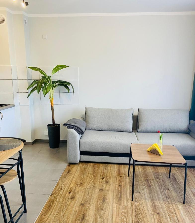 Apartamenty Teatralne Gorzów Wielkopolski Eksteriør billede